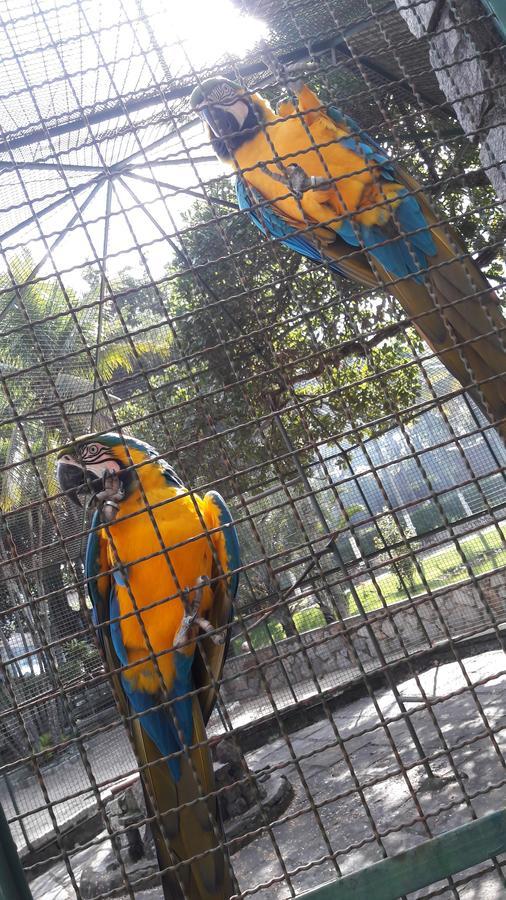 Guaratiba Parque 3* Río de Janeiro